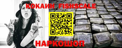 амф Камышлов