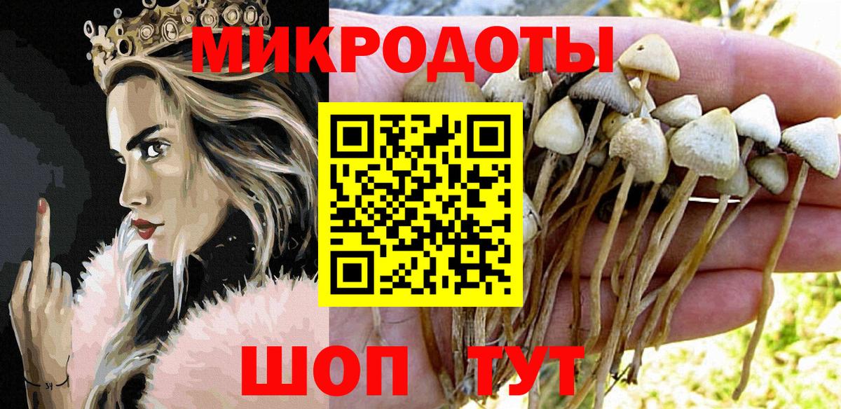 Галлюциногенные грибы мицелий Крымск