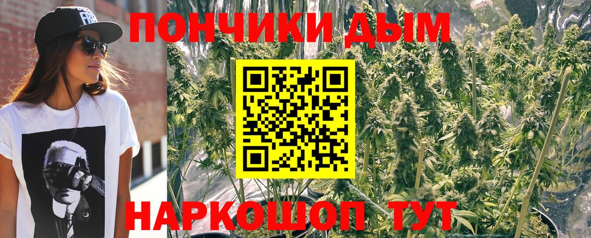 Каннабис план  Бошки марихуана планчик  Каннабис Bruce Banner  Конопля LSD WEED  Вход с VPN  Крымск 